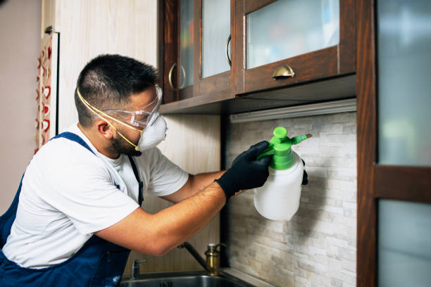 Best Pest Removal Services  in Kansas City, MO
